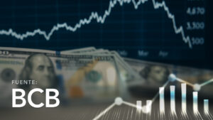 Tipo de Cambio del Dólar en el Mercado Paralelo