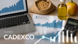 Volumen y Valor de las Exportaciones de Cochabamba por Sector