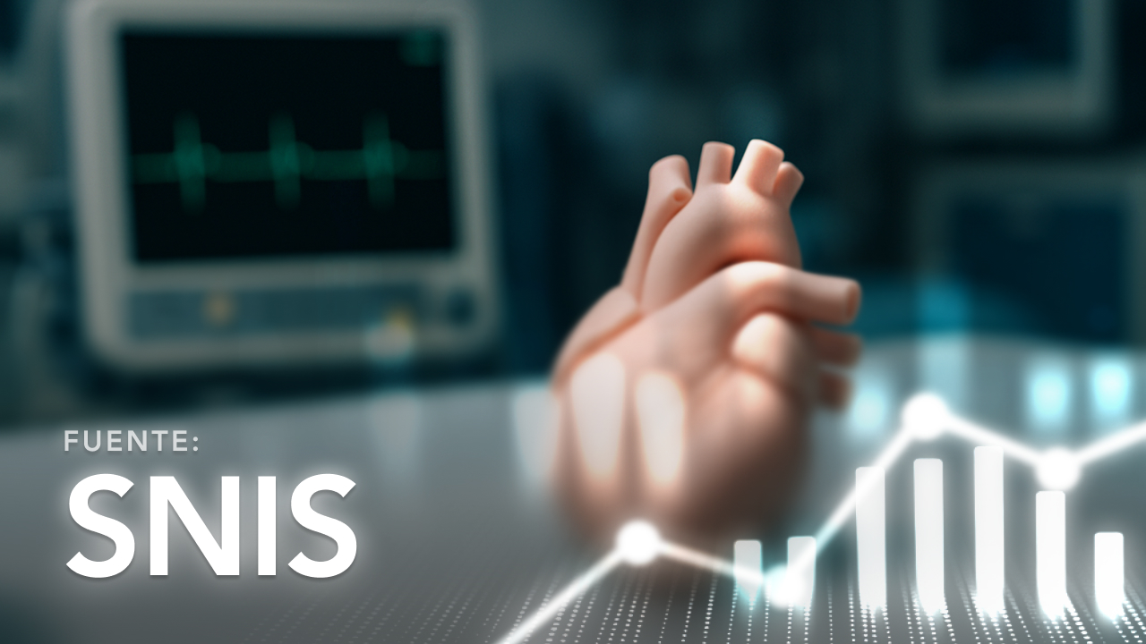 Casos de Mortalidad Registrados en Establecimientos de Salud y en la Comunidad
