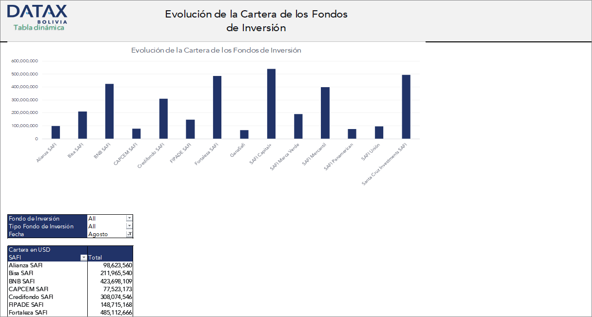 Evolución de la Cartera de los Fondos de Inversión
