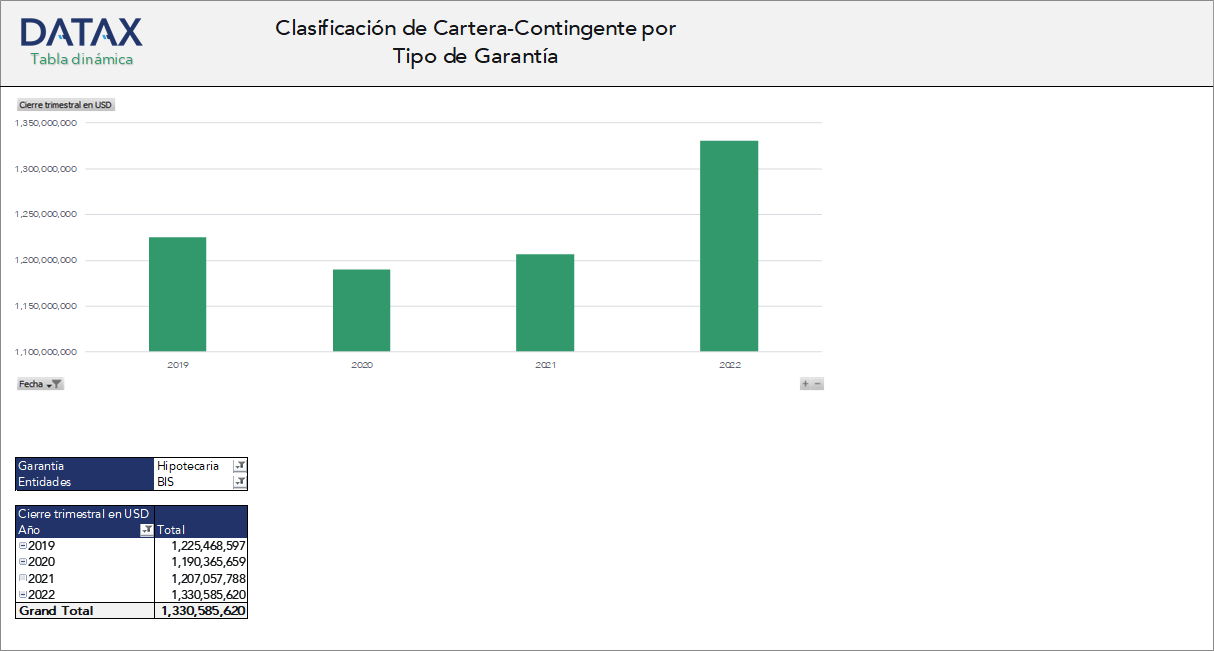 Loan Portfolio-Contingent Classification by Type of Guarantee