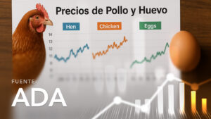Chicken and Egg Prices for Producers
