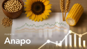 Soybean, Wheat, Sunflower, and Corn Prices According to References