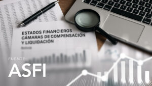 Financial Statements of Clearing and Settlement Houses
