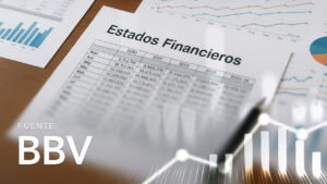 SAFIs Financial Statements