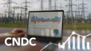 Energy Injections and Withdrawals by Company and Node