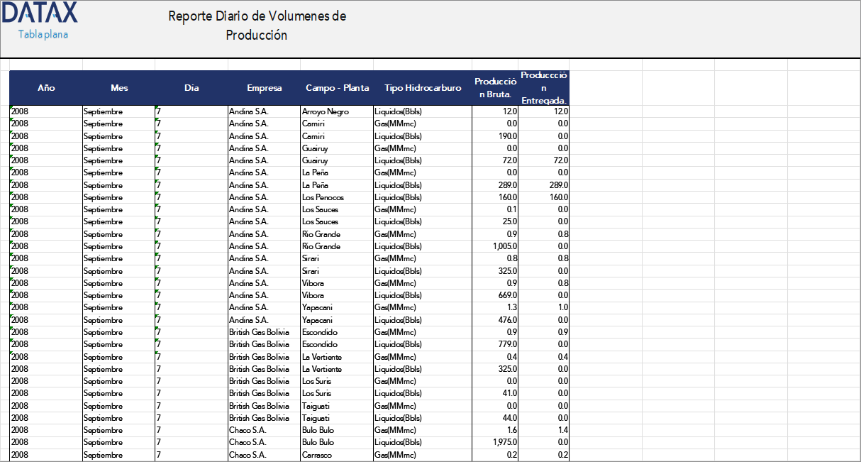 Daily Production Report