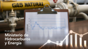 Natural Gas Prices in the Domestic Market