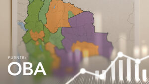 Languages Spoken by Municipalities