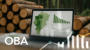 Forest Area and Volume by Municipalities