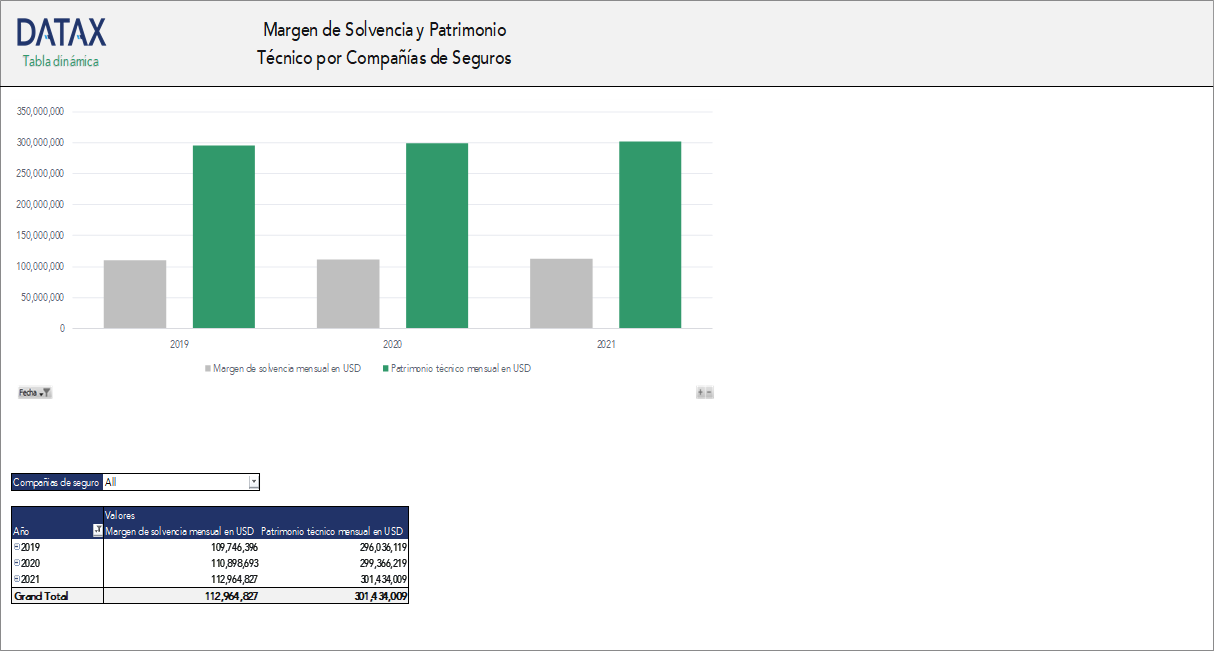 Solvency Margin and Technical Equity by Insurance Companies