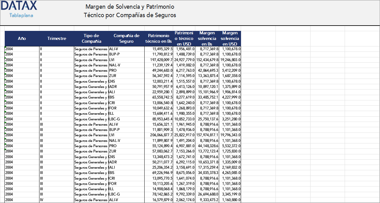 Solvency Margin and Technical Equity by Insurance Companies