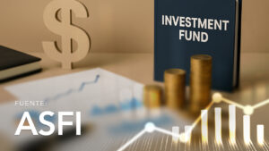 Investment Funds