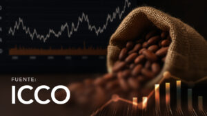 Daily Prices of Cocoa Beans