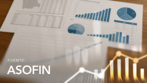 Consolidated Evolution of the Loan Portfolio of ASOFIN Members
