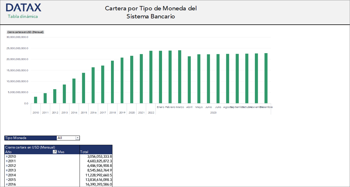 Loan Portfolio by Currency Type of the Banking System