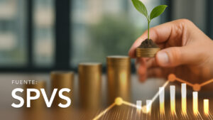 Evolution of the Individual Capitalization Fund (FCI) Investments