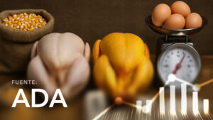 Daily Average Price Evolution of Chicken and Egg