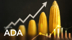 Evolution of Corn Price in Cochabamba (Delivered Price)