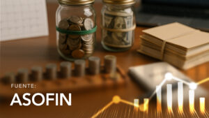 Portfolio Evolution by Credit Type in Institutions Affiliated with ASOFIN
