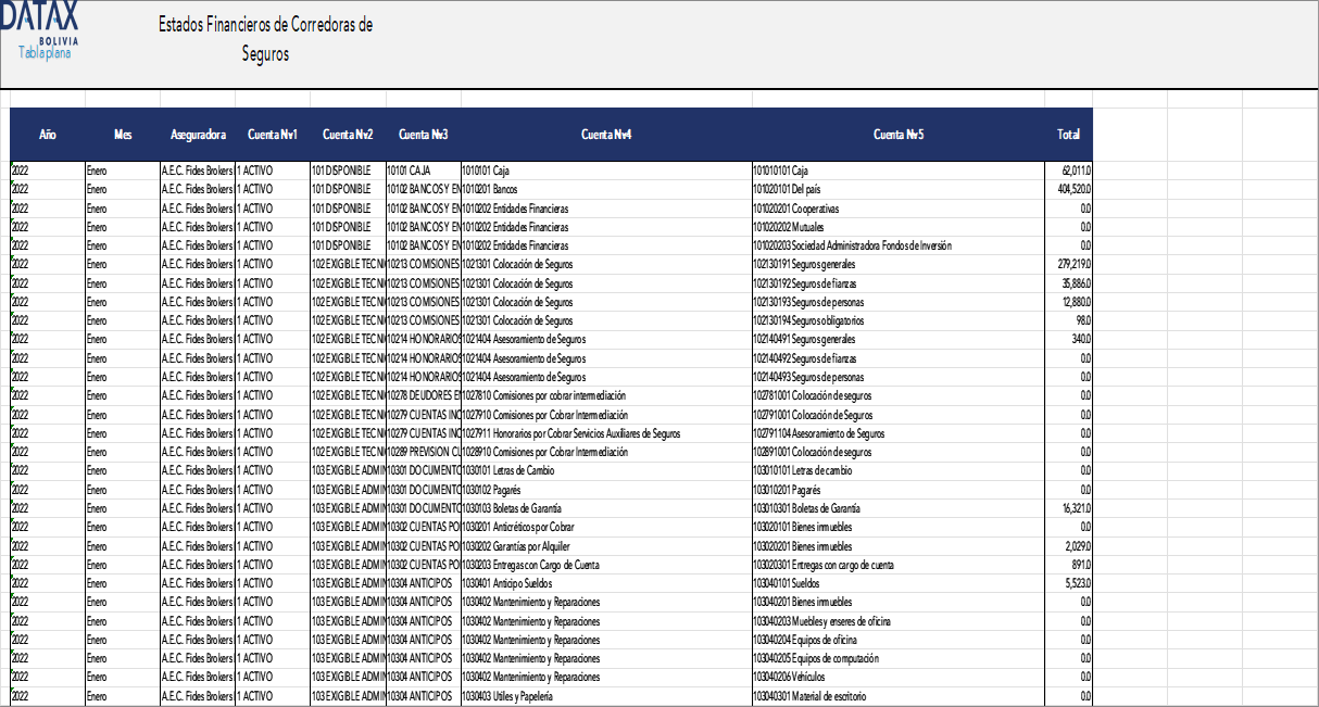 Financial Statements of Insurance Brokers in Bolivia