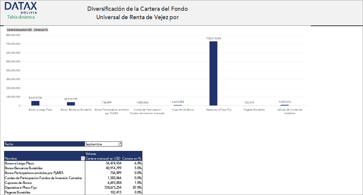 Composition of the Universal Old-Age Income Fund Portfolio by Instrument Type
